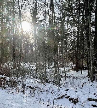10 Acres of Residential Land for Sale in Tolland Town, Massachusetts