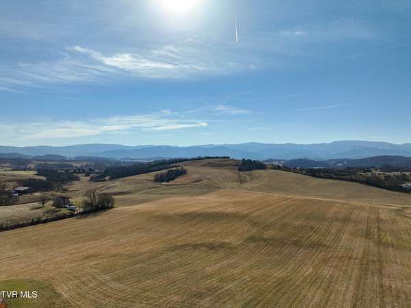 100 Acres of Land for Sale in Limestone, Tennessee