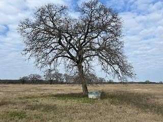 114 Acres of Agricultural Land for Sale in Kemp, Texas