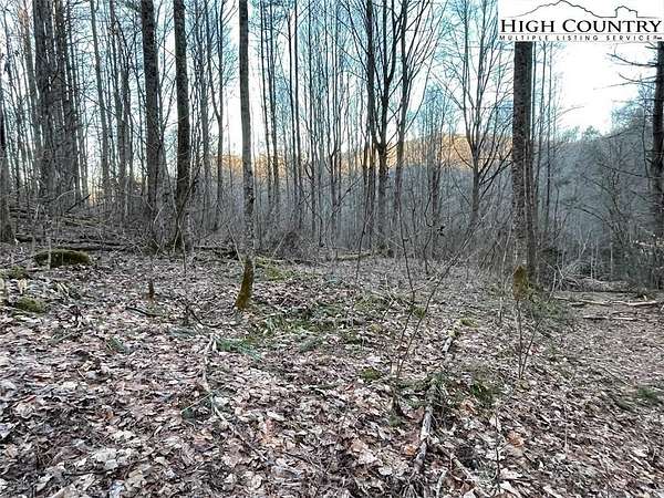 50.2 Acres of Land for Sale in Elk Park, North Carolina