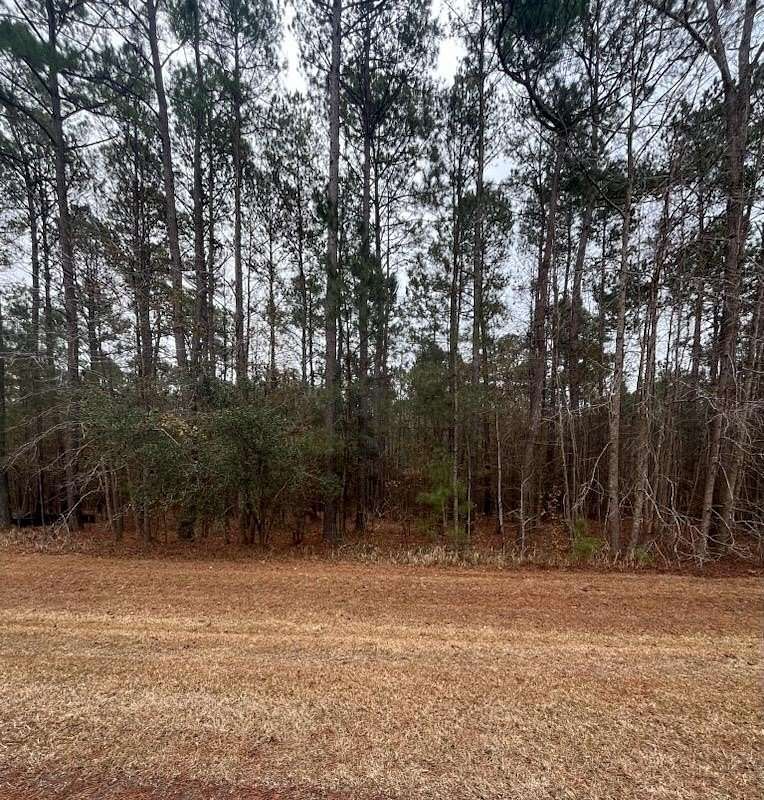 11.5 Acres of Land for Sale in Tallahassee, Florida