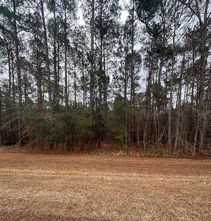 11.5 Acres of Land for Sale in Tallahassee, Florida