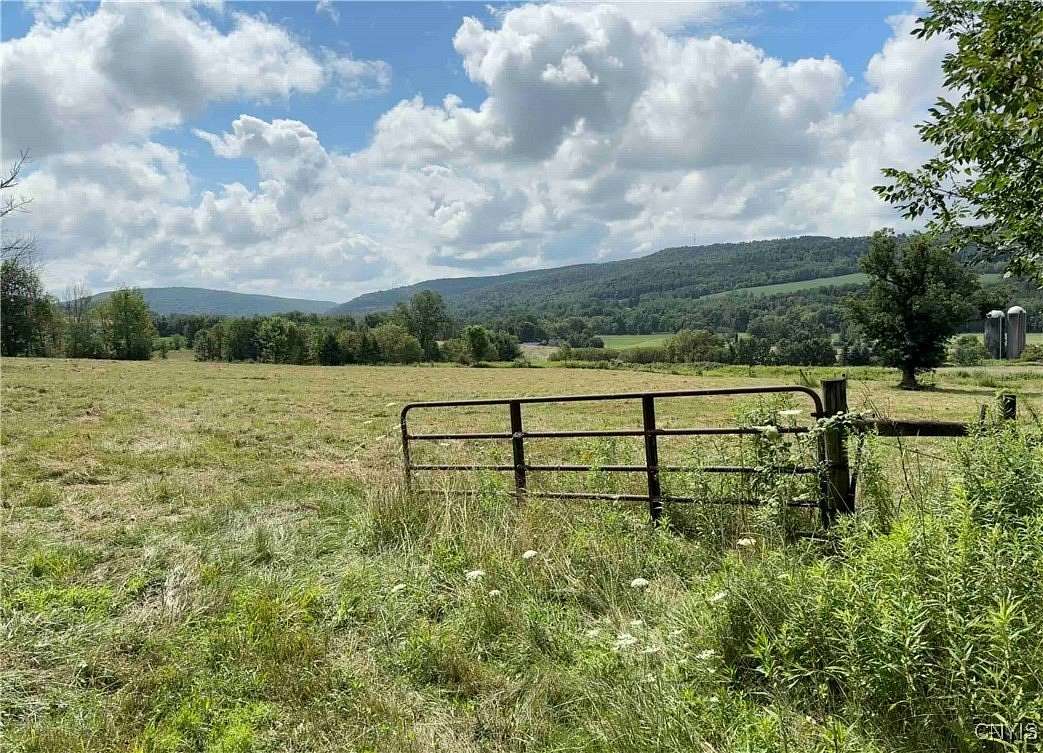 131 Acres of Land for Sale in Whitney Point, New York