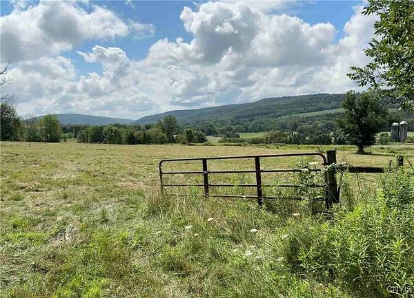 131 Acres of Land for Sale in Whitney Point, New York