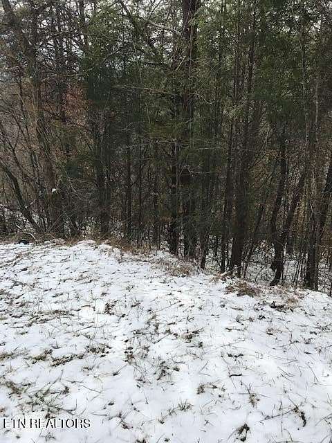 42 Acres of Recreational Land for Sale in Oneida, Tennessee