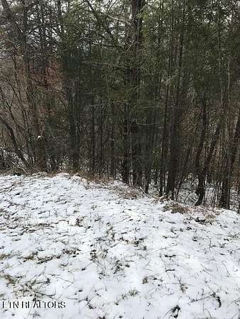 42 Acres of Recreational Land for Sale in Oneida, Tennessee