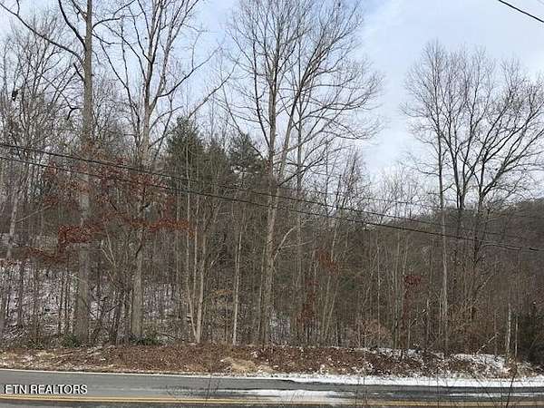 35 Acres of Recreational Land for Sale in Oneida, Tennessee