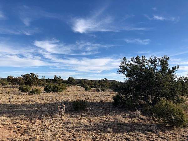 43.6 Acres of Recreational Land for Sale in Corona, New Mexico