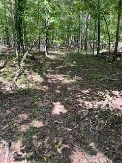 3.54 Acres of Residential Land for Sale in Stone Mountain, Georgia