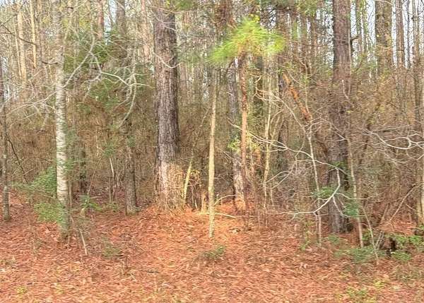 0.33 Acres of Land for Sale in Carriere, Mississippi