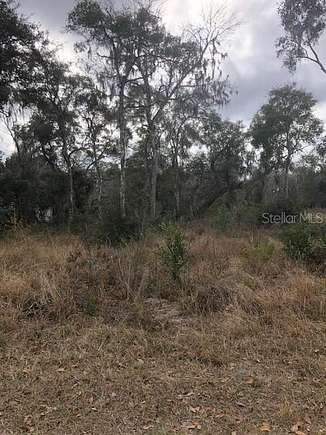 0.67 Acres of Residential Land for Sale in Inverness, Florida