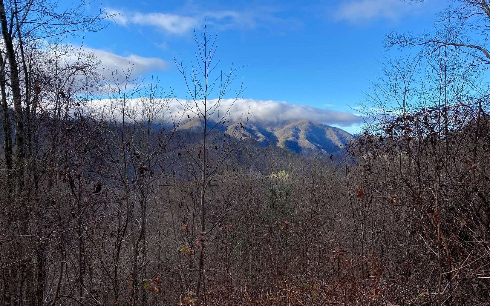 4.37 Acres of Land for Sale in Bryson City, North Carolina