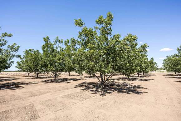 138 Acres of Agricultural Land for Sale in Hatch, New Mexico