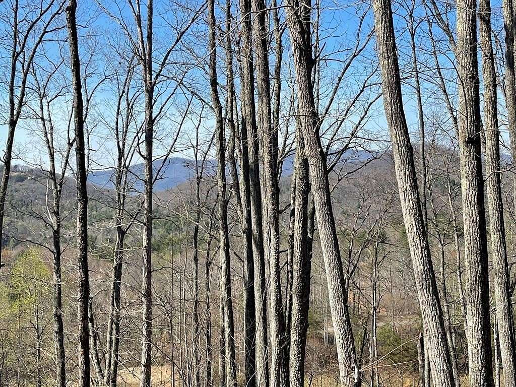 2 Acres of Land for Sale in Hayesville, North Carolina