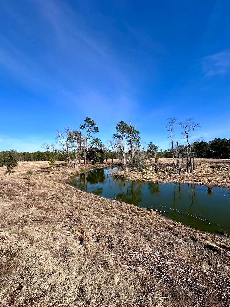 34.7 Acres of Recreational Land for Sale in Pembroke, Georgia