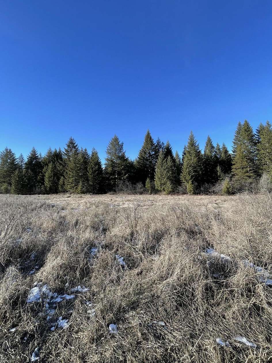 20 Acres of Land for Sale in Colville, Washington