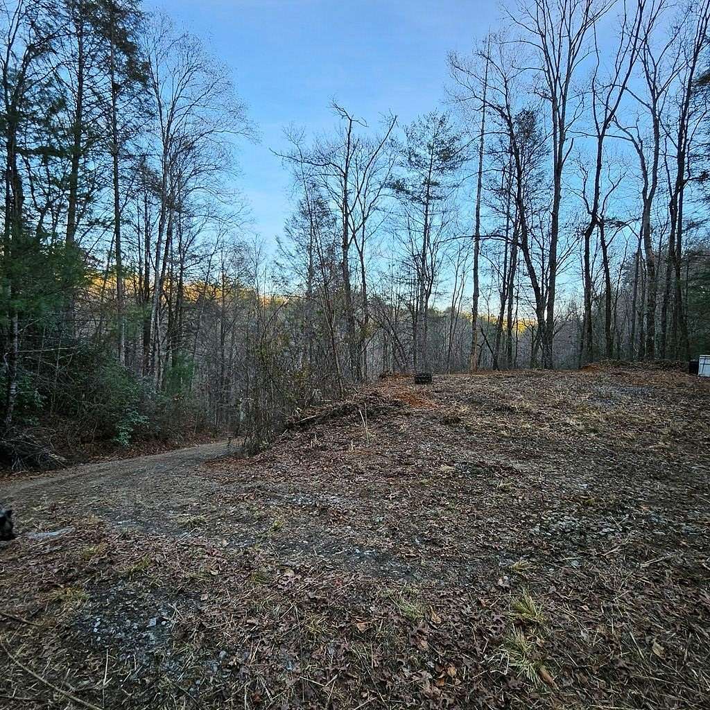 5 Acres of Residential Land for Sale in Ellijay, Georgia