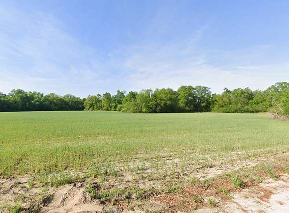 63 Acres of Land for Sale in Gordon, Alabama