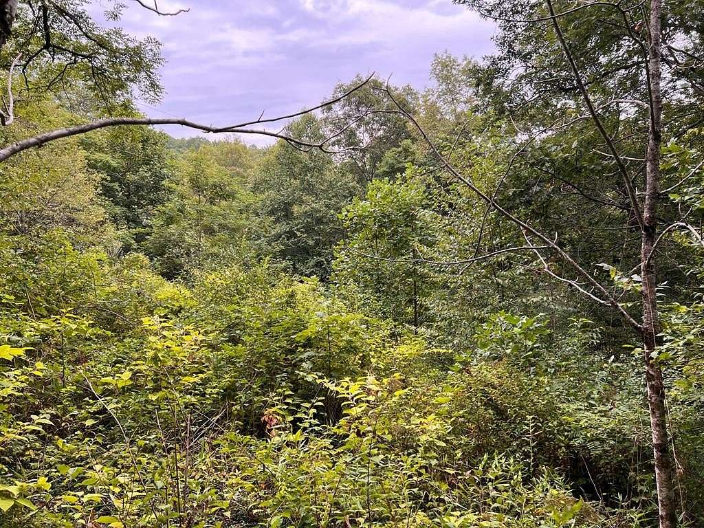 spanishburg-wv-119176724.jpg