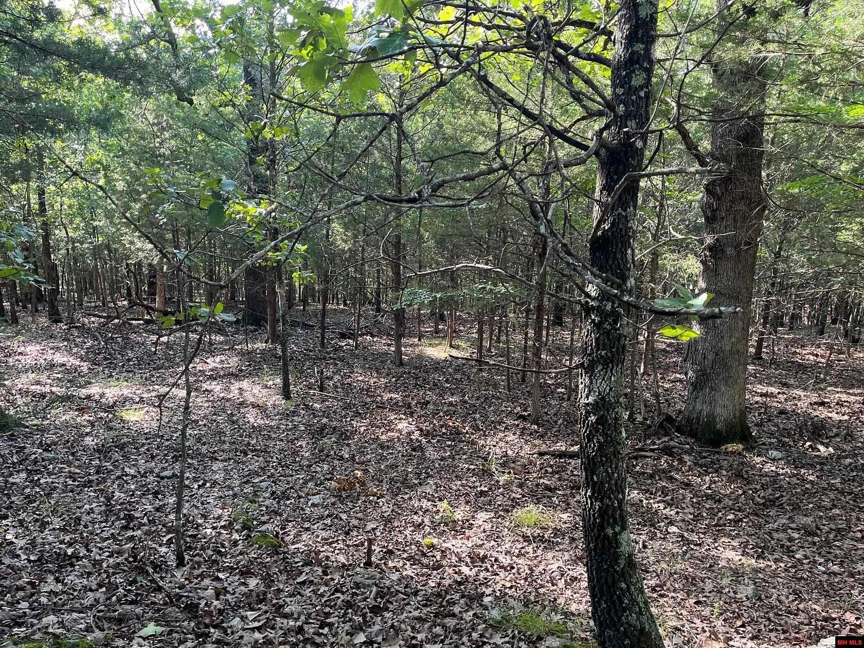 0.7 Acres of Residential Land for Sale in Rea Valley, Arkansas