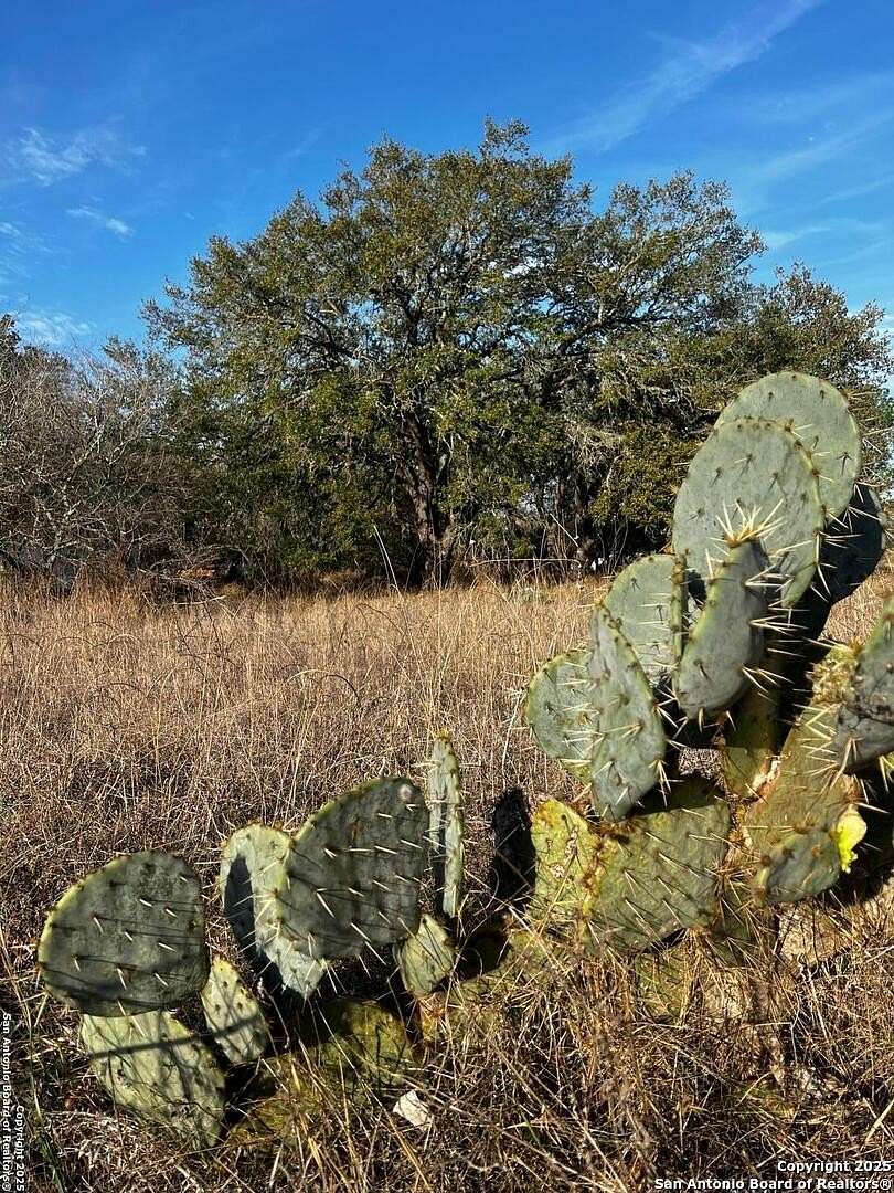 0.79 Acres of Residential Land for Sale in Poteet, Texas