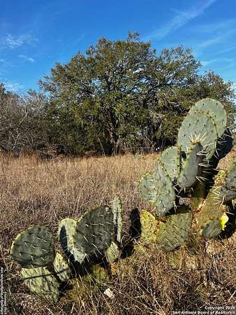 0.79 Acres of Residential Land for Sale in Poteet, Texas
