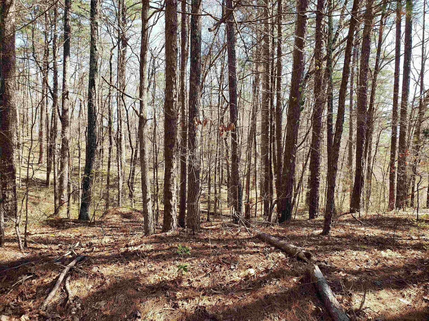 0.25 Acres of Residential Land for Sale in Hot Springs Village, Arkansas