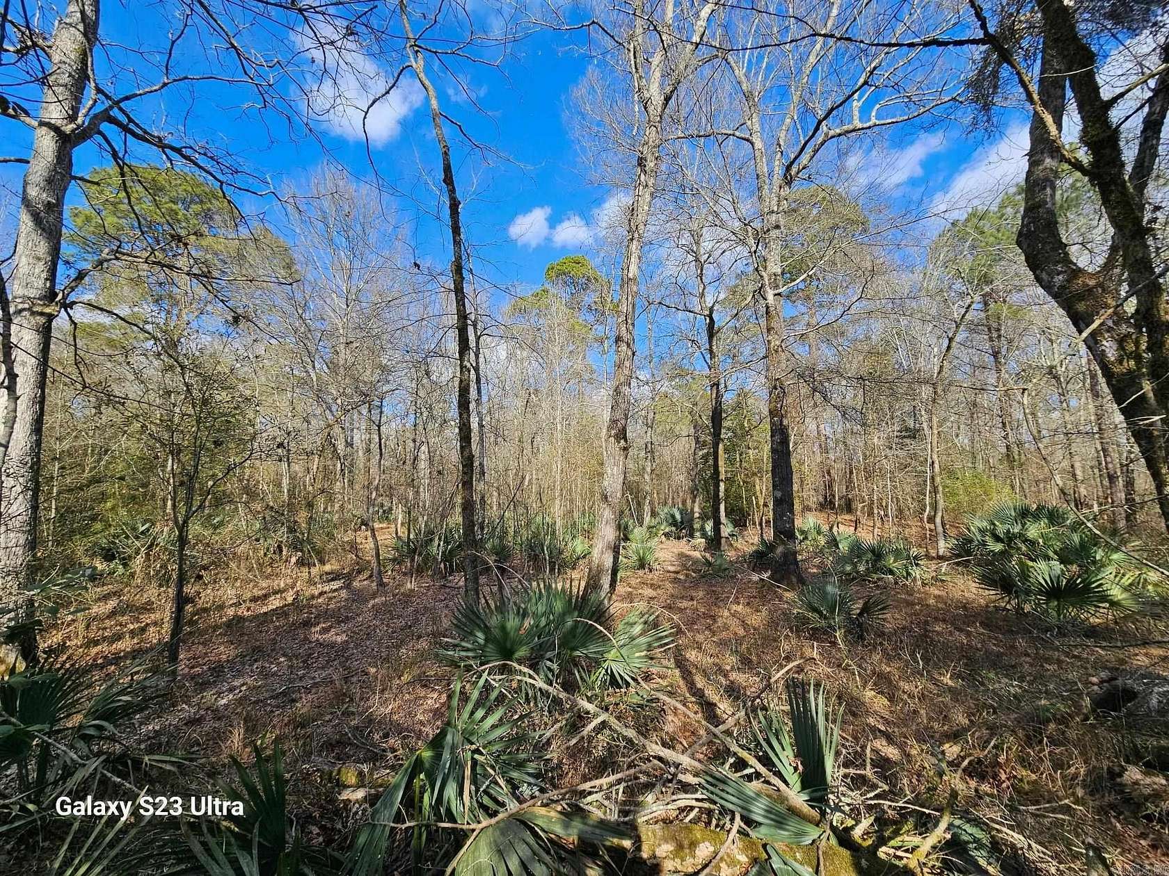 19.7 Acres of Recreational Land for Sale in El Dorado, Arkansas