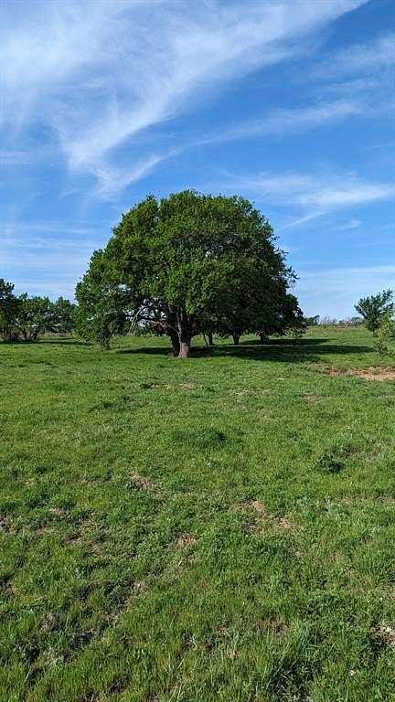 10 Acres of Recreational Land for Sale in Bellevue, Texas