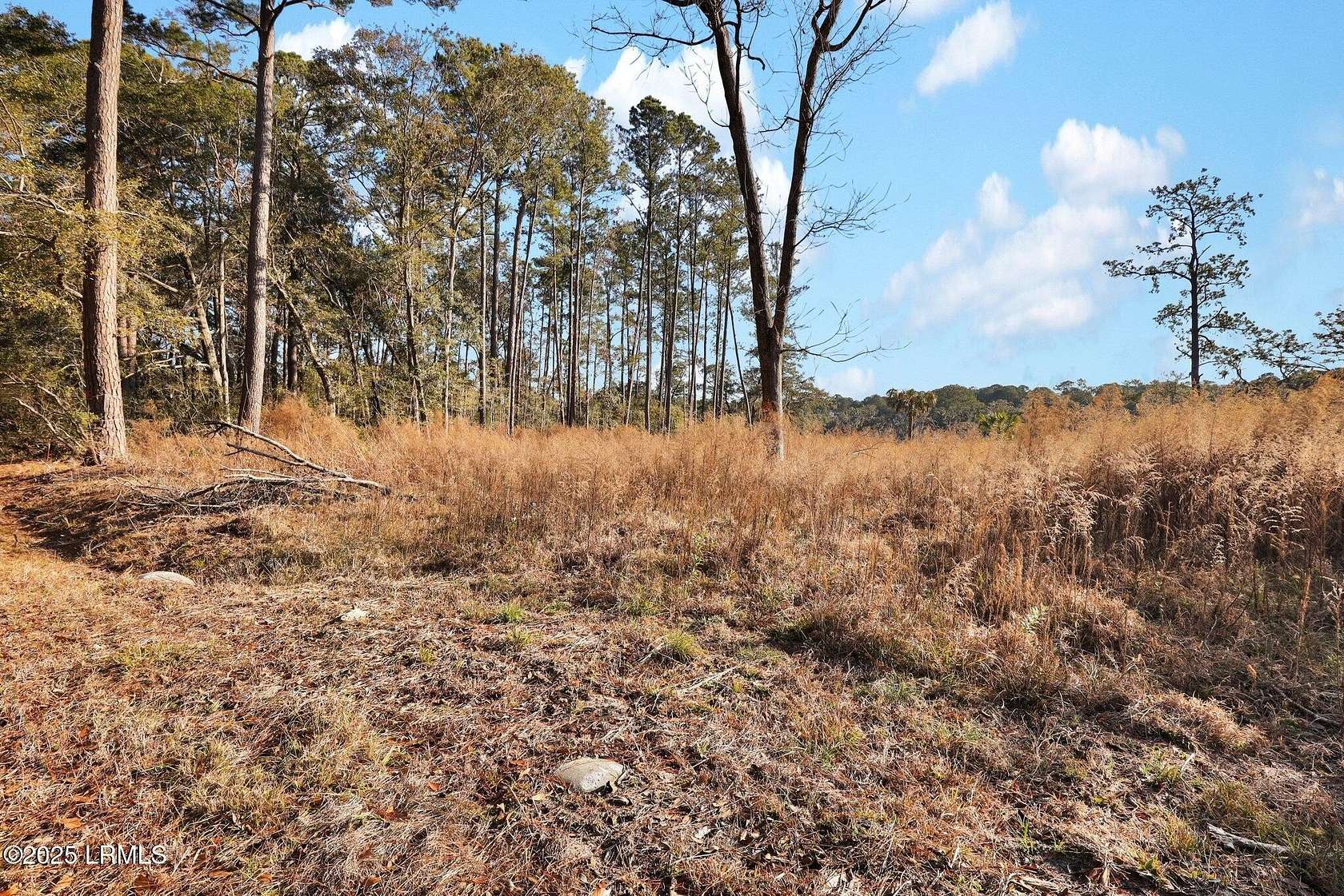0.5 Acres of Residential Land for Sale in Beaufort, South Carolina