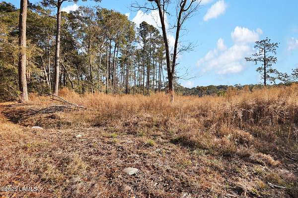 0.5 Acres of Residential Land for Sale in Beaufort, South Carolina