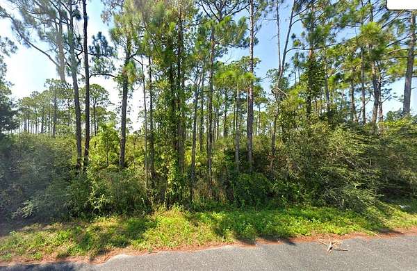 5.85 Acres of Residential Land for Sale in Port St. Joe, Florida