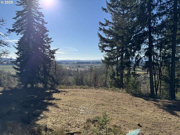 13.2 Acres of Land for Sale in Amity, Oregon