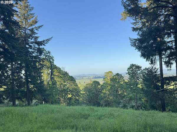 13.2 Acres of Land for Sale in Amity, Oregon