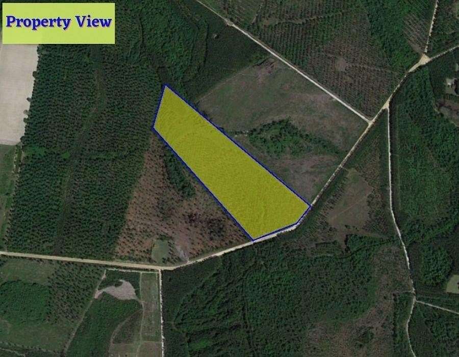 21.3 Acres of Land for Sale in Manor, Georgia