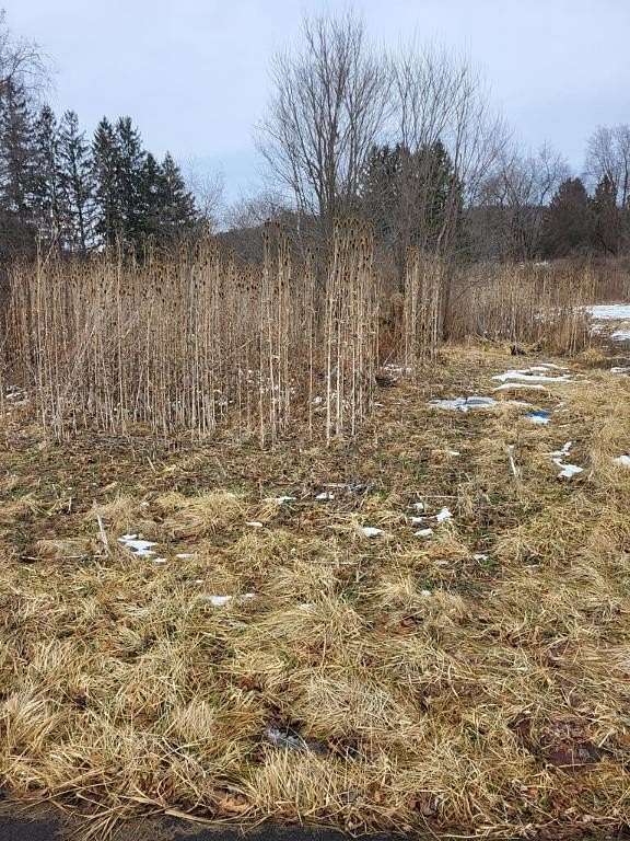 0.52 Acres of Residential Land for Sale in Horseheads, New York