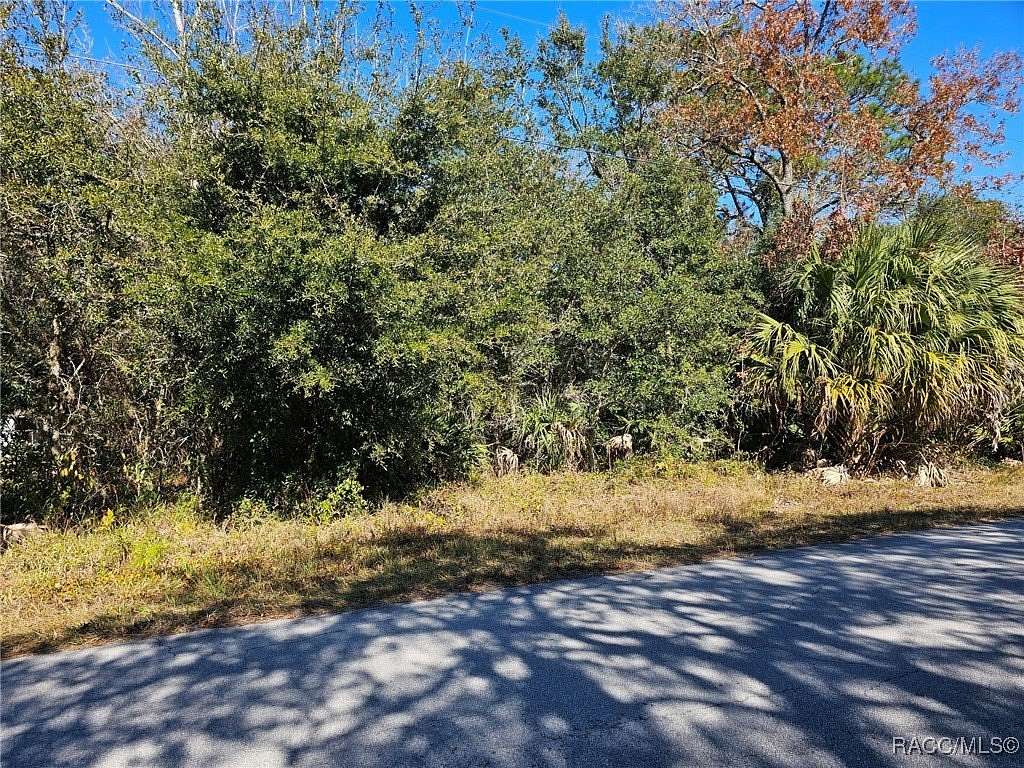 0.29 Acres of Residential Land for Sale in Homosassa, Florida