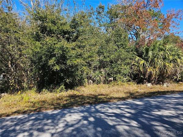 0.29 Acres of Residential Land for Sale in Homosassa, Florida