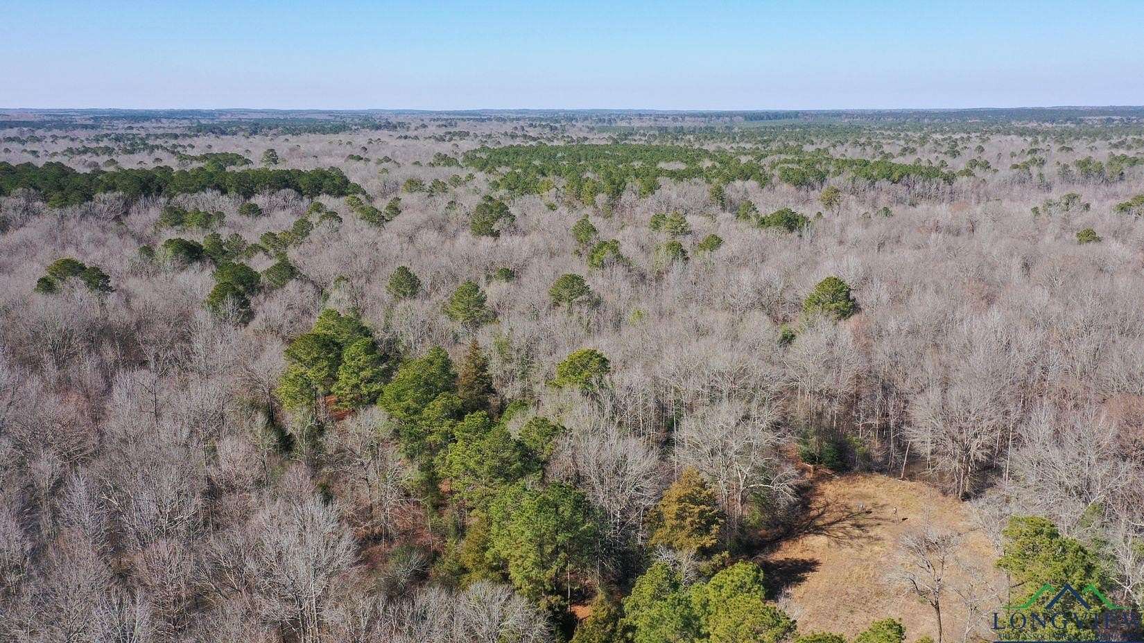 436 Acres of Recreational Land & Farm for Sale in Bivins, Texas