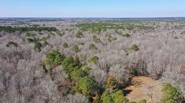 436 Acres of Recreational Land for Sale in Bivins, Texas