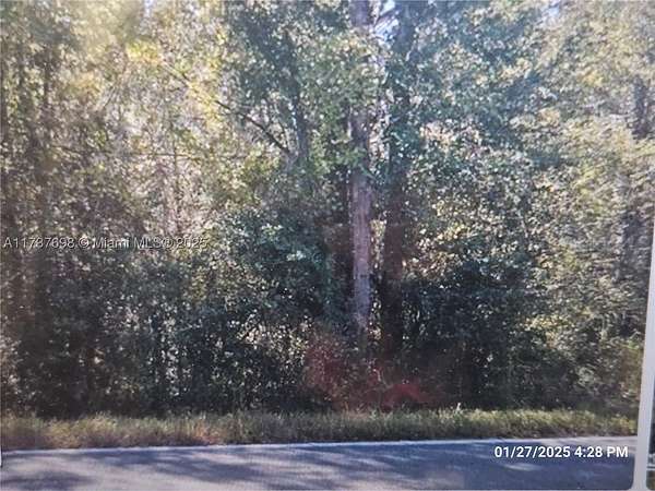 1 Acre of Residential Land for Sale in Hawthorne, Florida