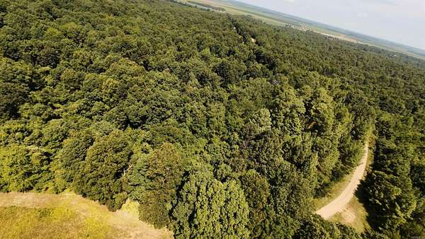 40 Acres of Recreational Land for Sale in Pollard, Arkansas