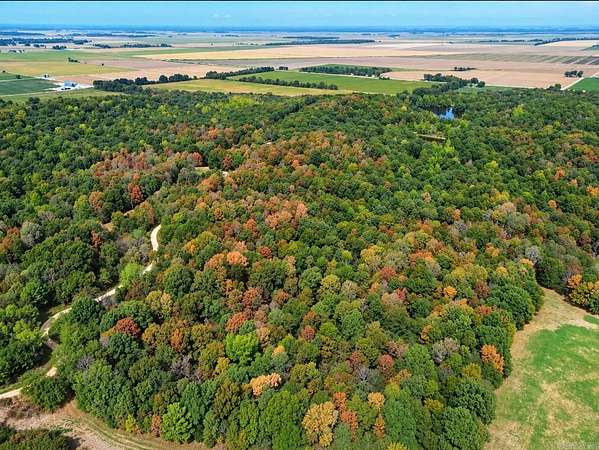 40 Acres of Recreational & Residential Land for Sale in Pollard, Arkansas