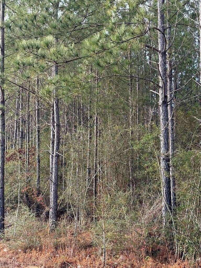 0.33 Acres of Land for Sale in Carriere, Mississippi
