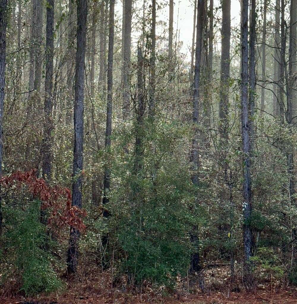 0.33 Acres of Land for Sale in Carriere, Mississippi