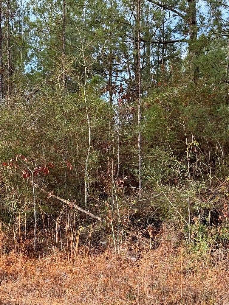 0.33 Acres of Land for Sale in Carriere, Mississippi