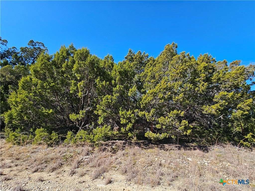 10.2 Acres of Land for Sale in Evant, Texas