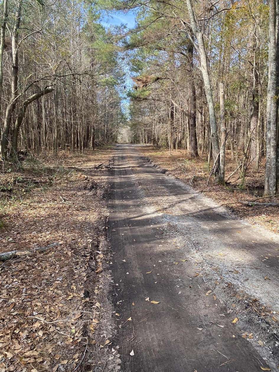 10.3 Acres of Land for Sale in St. George, South Carolina