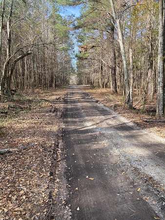 10.3 Acres of Land for Sale in St. George, South Carolina