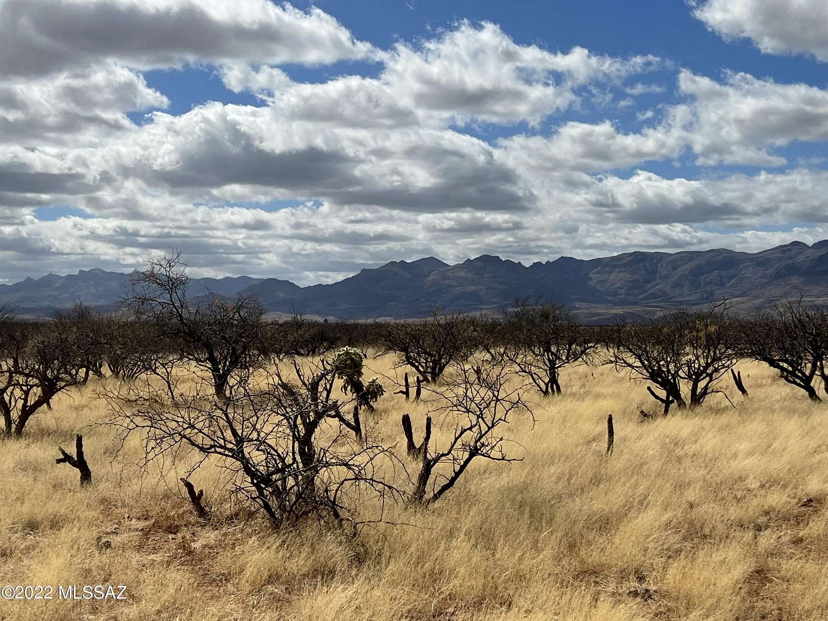 16.3 Acres of Land for Sale in Tubac, Arizona